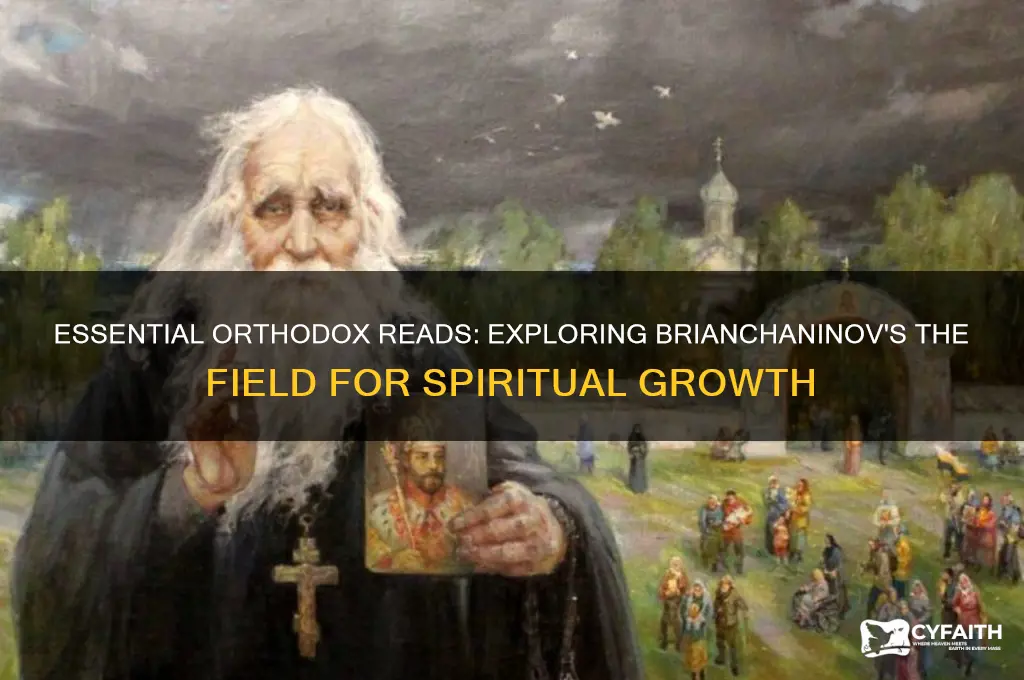 must read orthodox books the field brianchaninov