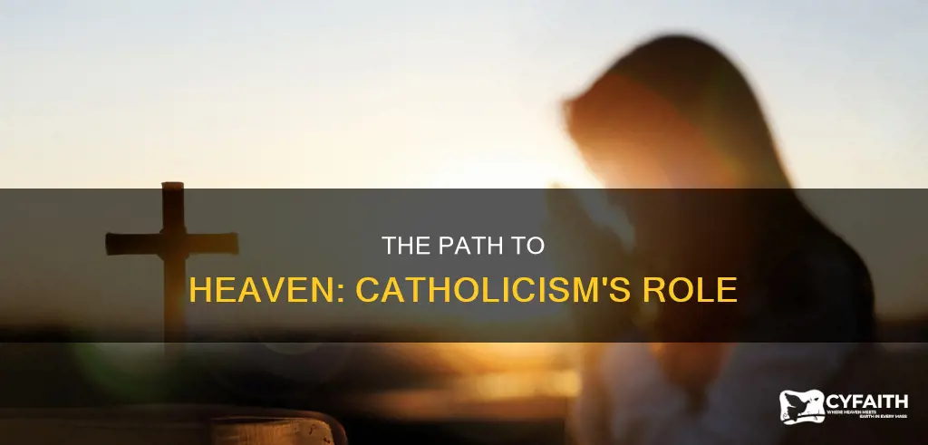 must we be catholic to enter heaven