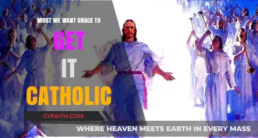 Grace: A Catholic's Guide to Divine Gifts