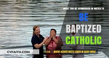 Catholic Baptism: Does It Require Full Water Submersion?