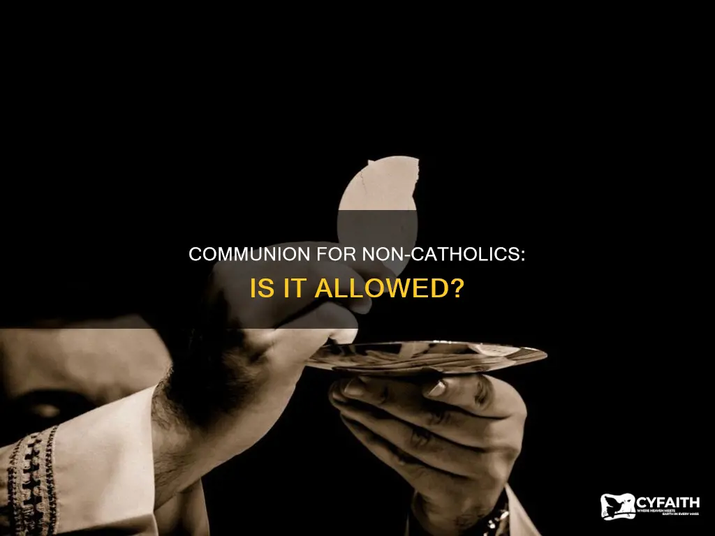 should a non catholic receive communion