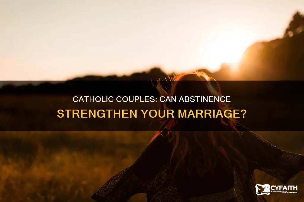 should catholic couples give up sex