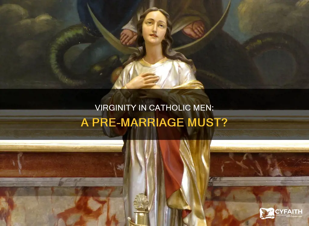should catholic men be virgins when married