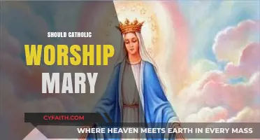 Should Catholics Worship Mary? Exploring Devotion and Doctrine in Faith