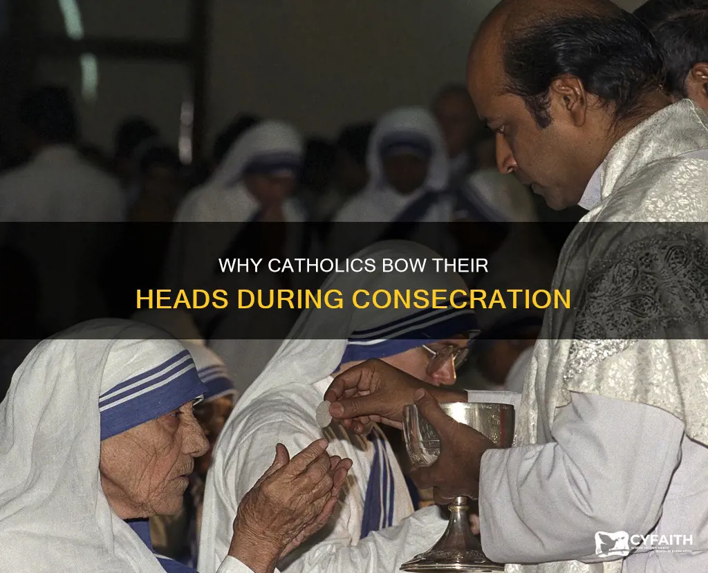 should catholics bow their heads during the consecration