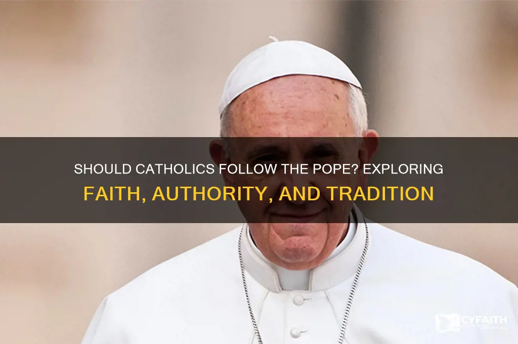should catholics follow the pope