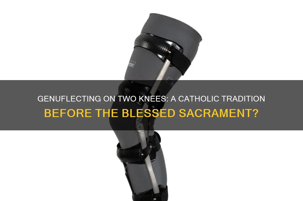 should catholics genuflect on 2 knees before the blessed sacrament