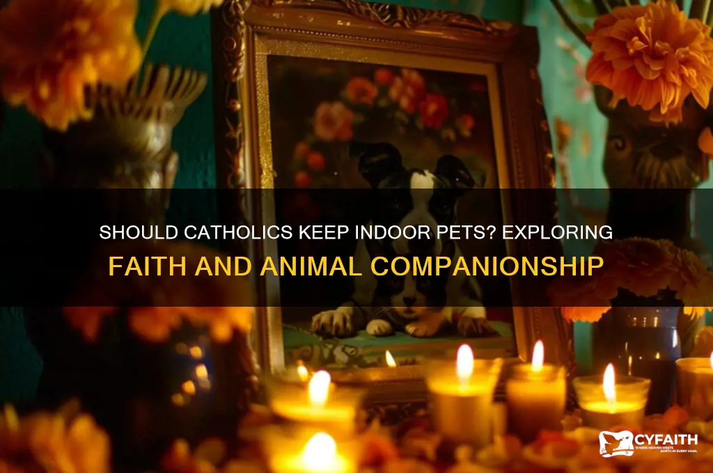 should catholics have indoor pets