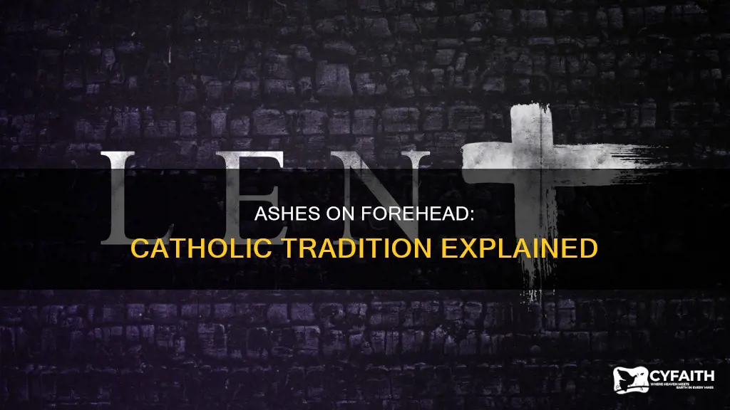 should catholics keep ashes on forehead