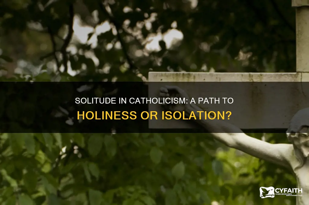 should catholics live in solitude
