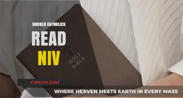 Should Catholics Read the NIV? Exploring Faith and Translation