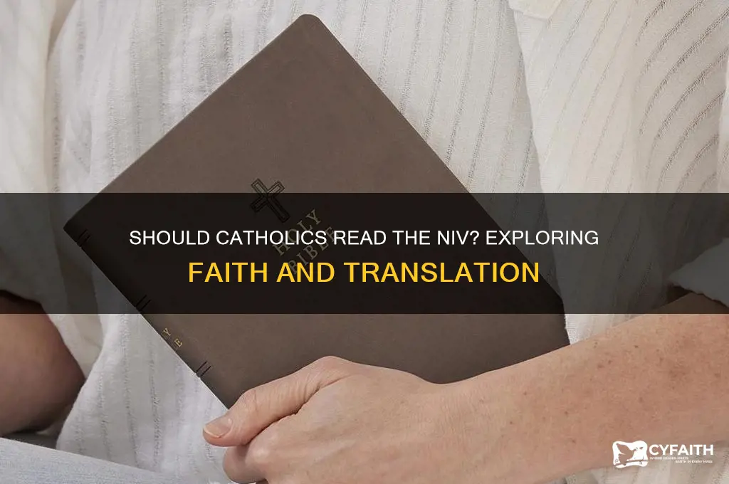 should catholics read niv