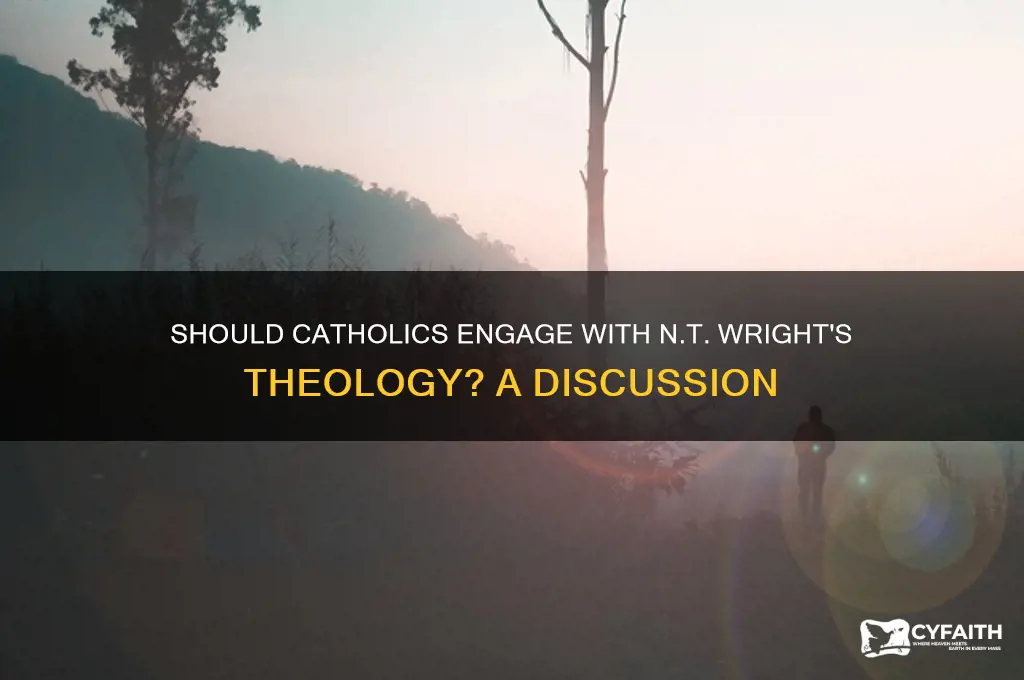 should catholics read nt wright