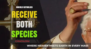 Should Catholics Receive Both Species? Exploring Eucharistic Practice and Tradition