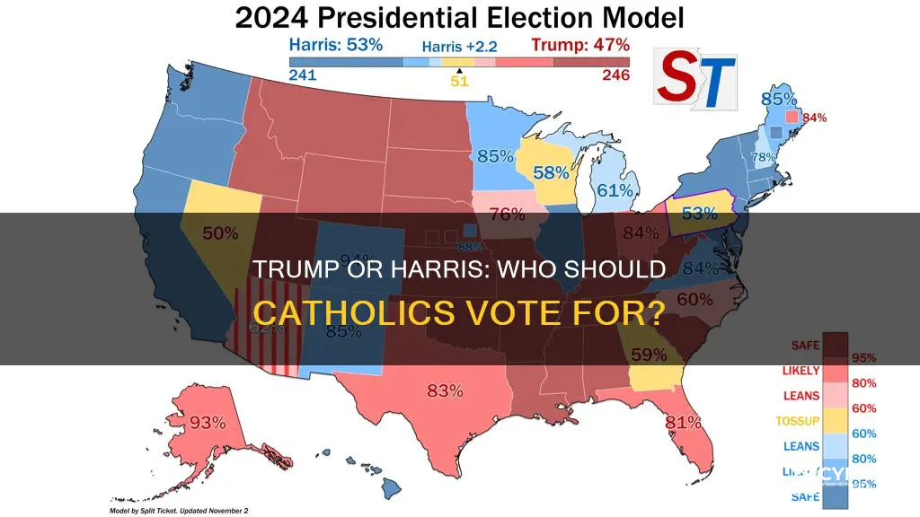 should catholics vote for trump or harris