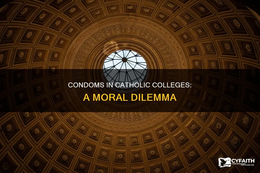 should condoms be provided in catholic colleges