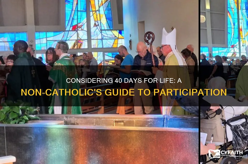 should i join 40 days for life not catholic