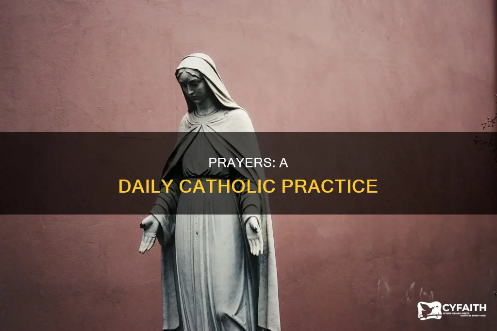 should i say prayers everyday catholic