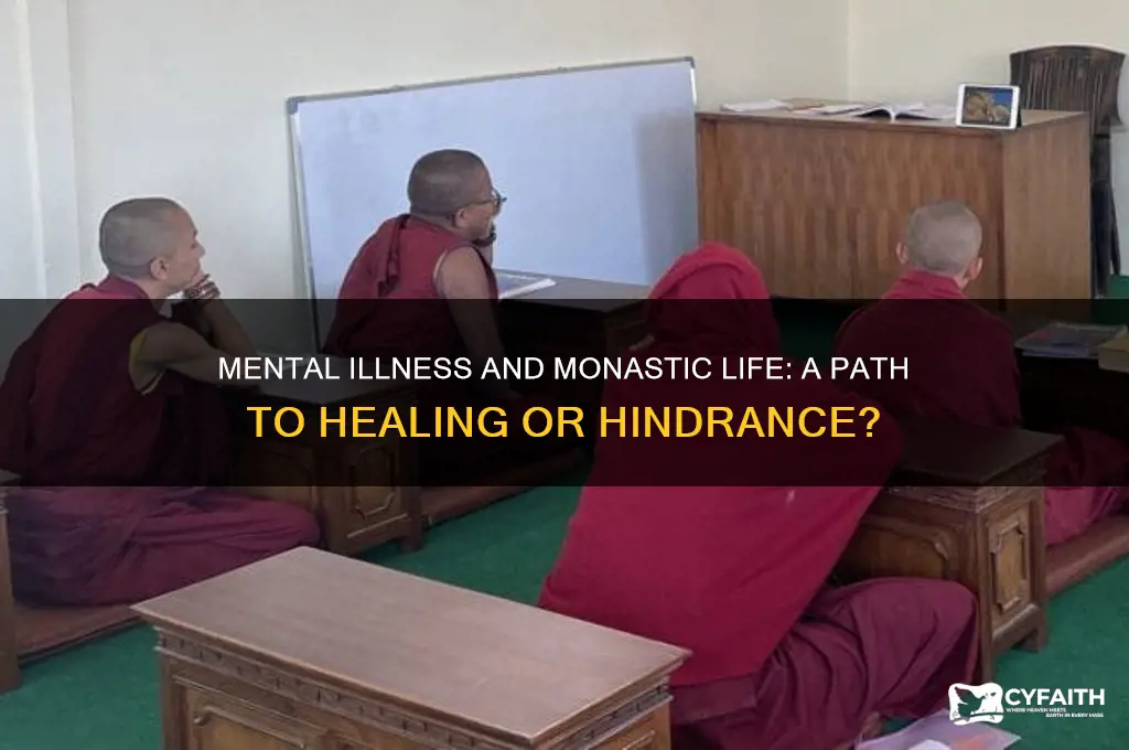 should mentally ill people enter orthodox monastery