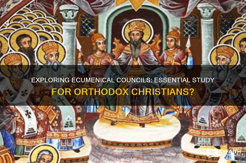 should orthodox christians study the ecumencial councils