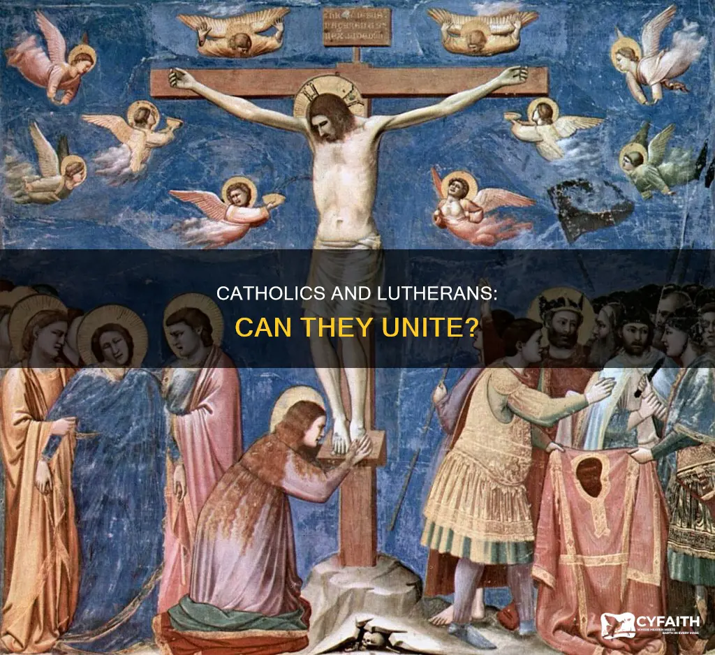 should the catholic religion and lutherans join together
