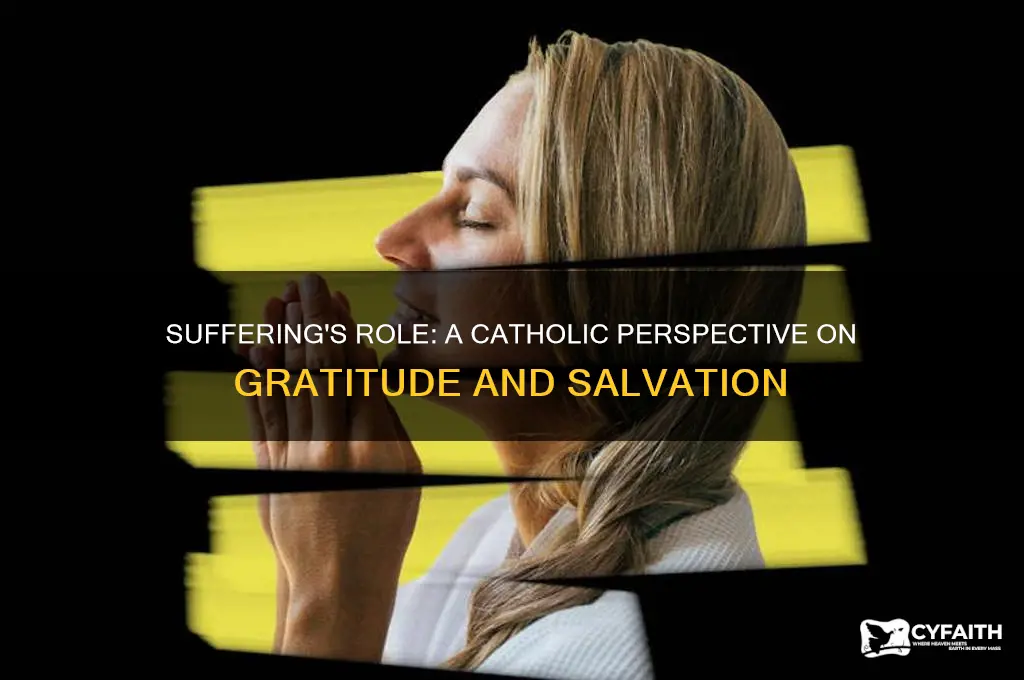 should we be grayeful for suffering since it saves catholic