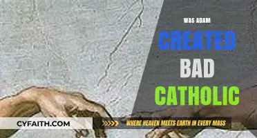 Was Adam Created Flawed? Catholic Perspectives on Original Sin and Creation