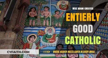 Adam's Creation: Catholic View of Original Sin