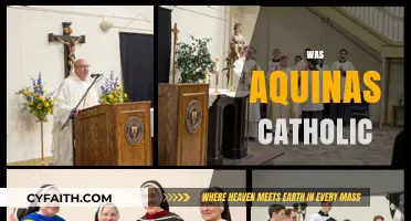 Was Aquinas Catholic? Exploring the Faith of a Medieval Theologian