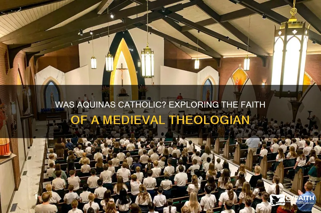 was aquinas catholic