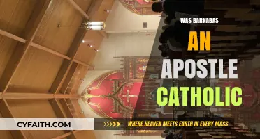 Was Barnabas an Apostle? Catholic Perspectives on His Role