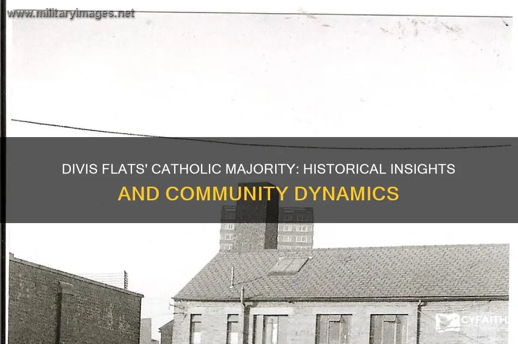 was divis flatsd mostly catholic
