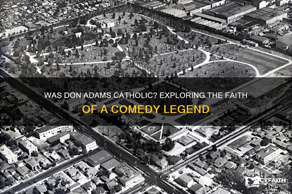 was don adams catholic