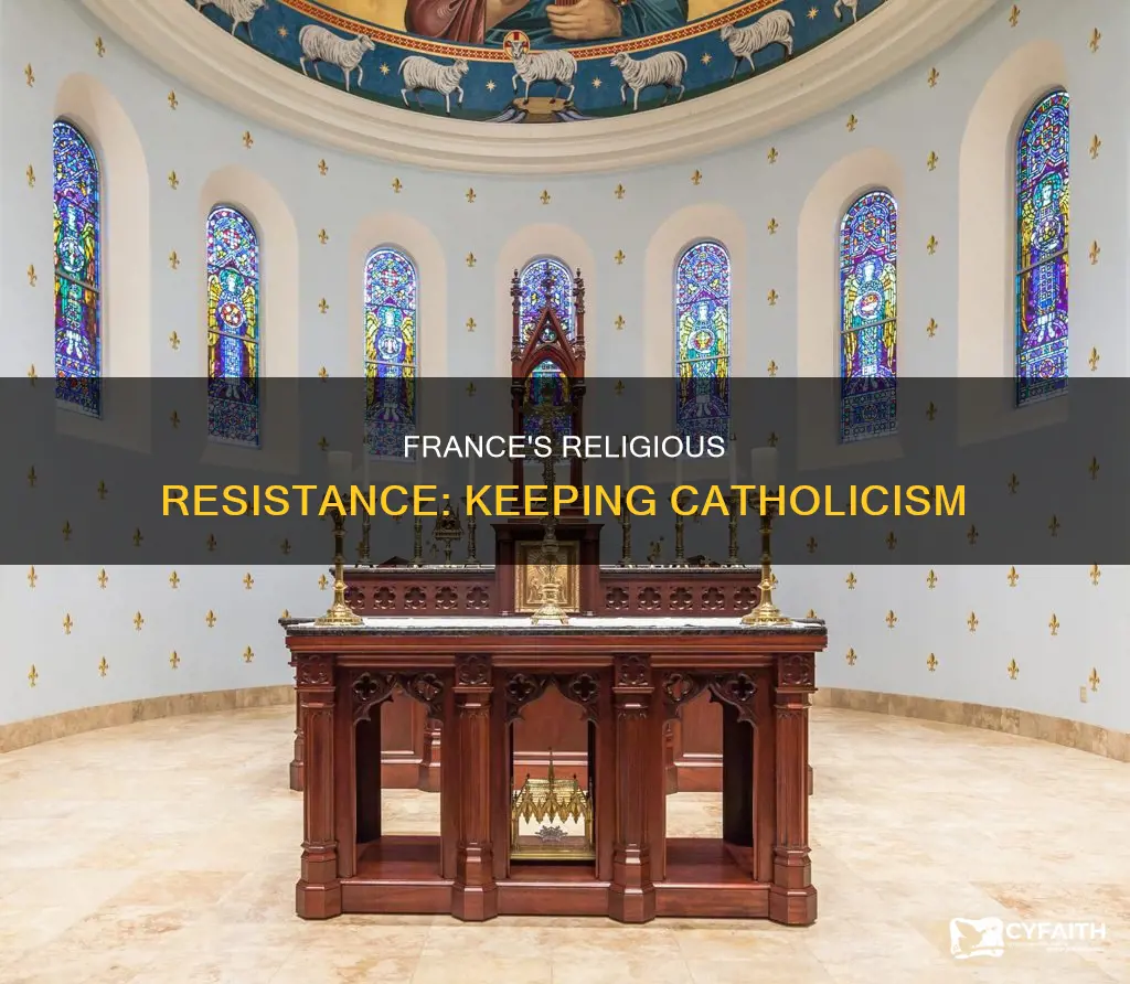was france trying to keep themselves catholic