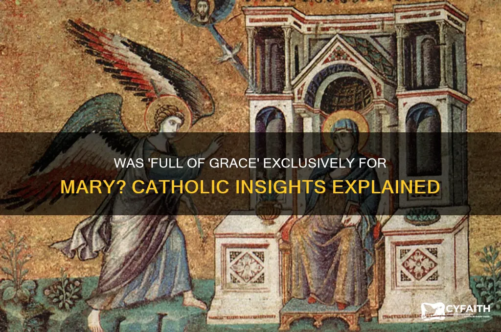 was full of grace used for anyone else catholic answers