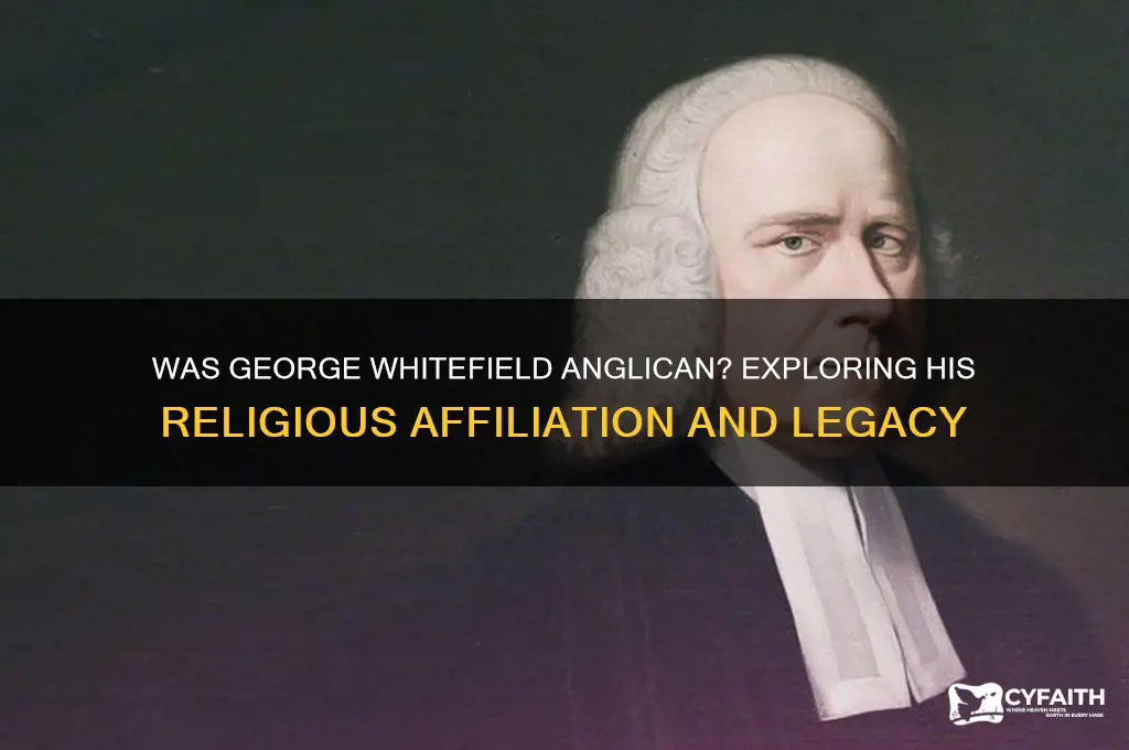 was george whitefield anglican
