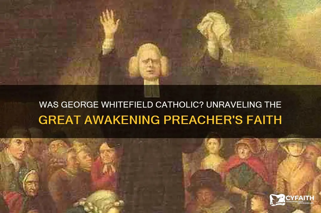 was george whitefield catholic