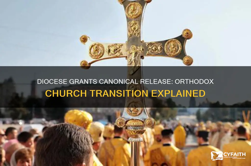 was granted canonical release diocese orthodox