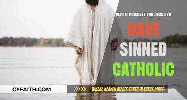 Could Jesus Have Sinned? Catholic Insights on Christ's Sinless Nature