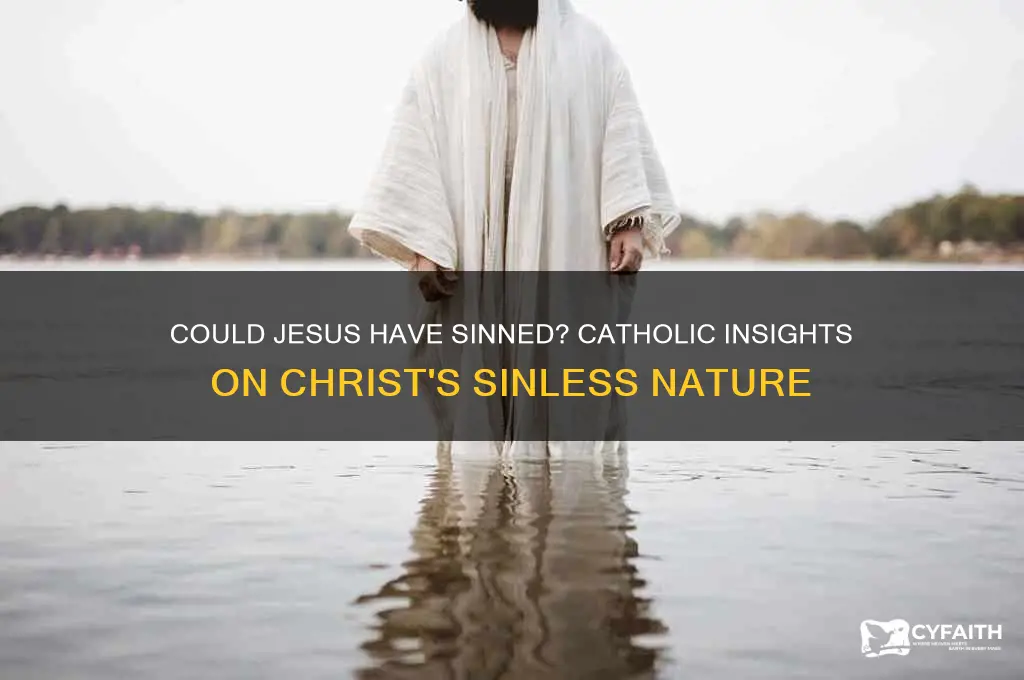 was it possible for jesus to have sinned catholic