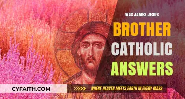 James, Jesus' Brother: Catholic Answers Unveiled