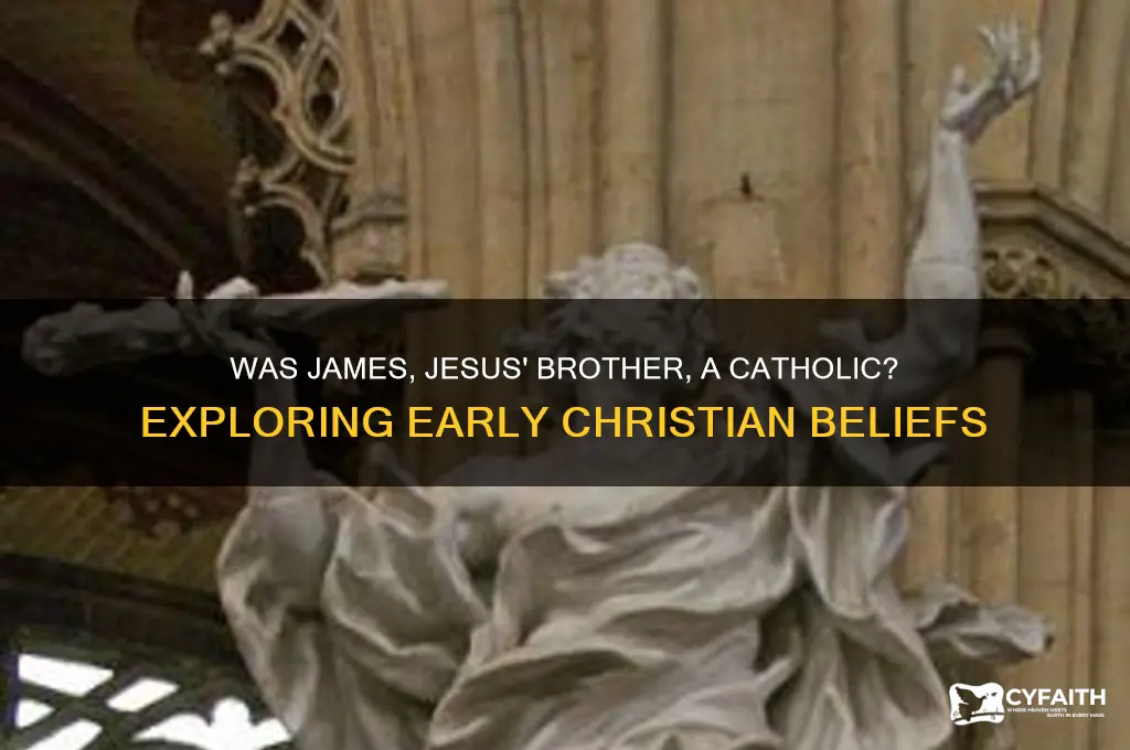 was james jesus brother catholic