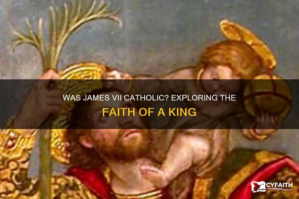 was james vii catholic