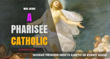 Was Jesus a Pharisee? Exploring Catholic and Historical Perspectives