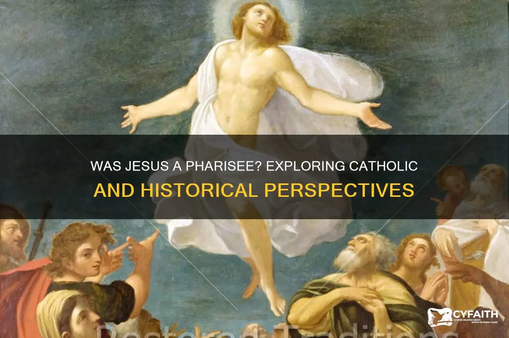 was jesus a pharisee catholic