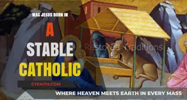 The Humble Birth of Jesus Christ: A Catholic Perspective