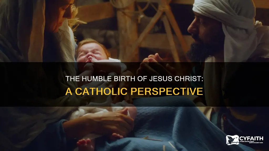 was jesus born in a stable catholic