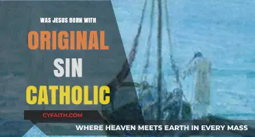 Jesus' Birth: Original Sin and Catholic Teachings