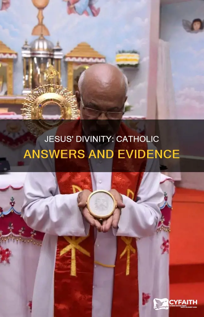 was jesus divine while on earth catholic answers