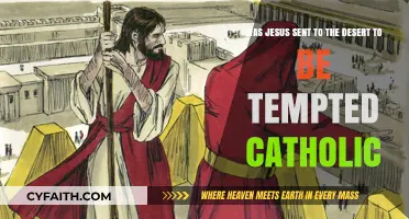 Catholic Insights: Jesus' Temptation in the Desert – Purpose Explored
